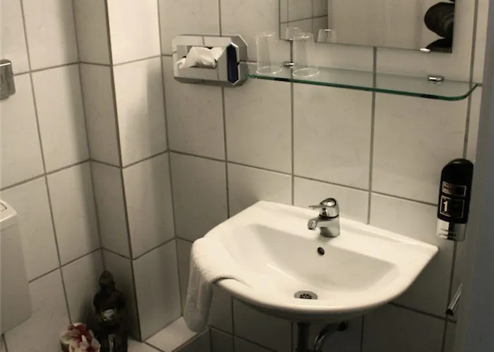 Seibel 2*